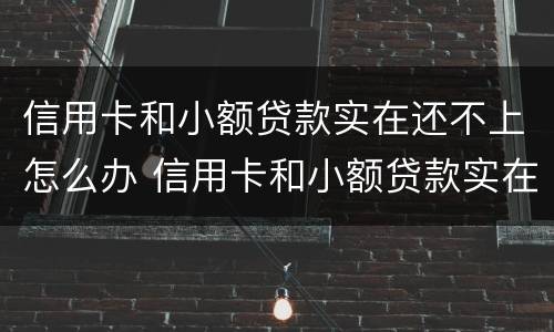 信用卡和小额贷款实在还不上怎么办 信用卡和小额贷款实在还不上怎么办呢