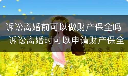 诉讼离婚前可以做财产保全吗 诉讼离婚时可以申请财产保全吗