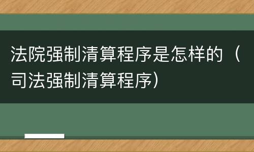 法院强制清算程序是怎样的（司法强制清算程序）