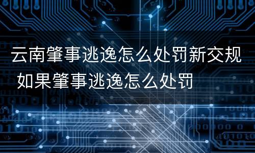 云南肇事逃逸怎么处罚新交规 如果肇事逃逸怎么处罚