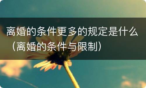 离婚的条件更多的规定是什么（离婚的条件与限制）