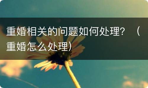 重婚相关的问题如何处理？（重婚怎么处理）