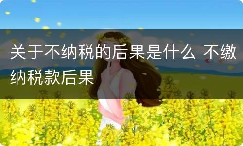 关于不纳税的后果是什么 不缴纳税款后果