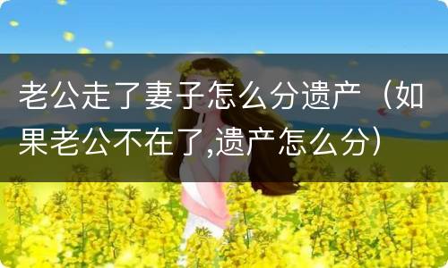 老公走了妻子怎么分遗产（如果老公不在了,遗产怎么分）