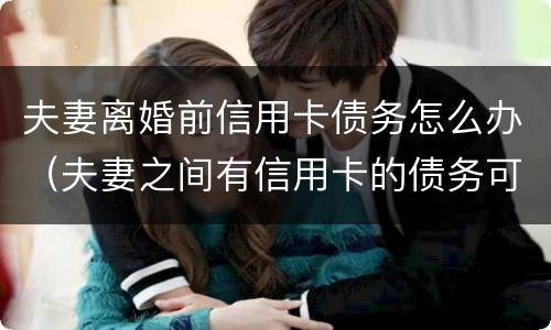 夫妻离婚前信用卡债务怎么办（夫妻之间有信用卡的债务可以离婚吗）