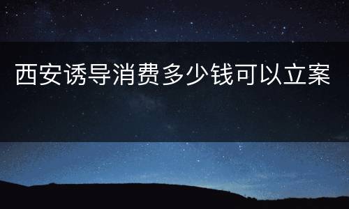 西安诱导消费多少钱可以立案