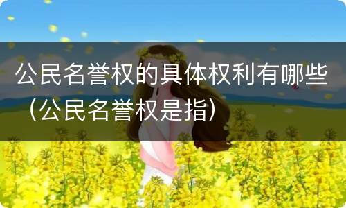公民名誉权的具体权利有哪些（公民名誉权是指）
