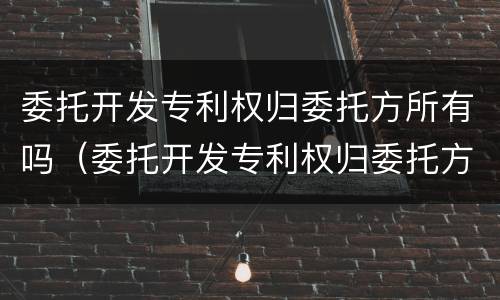 委托开发专利权归委托方所有吗（委托开发专利权归委托方所有吗合法吗）