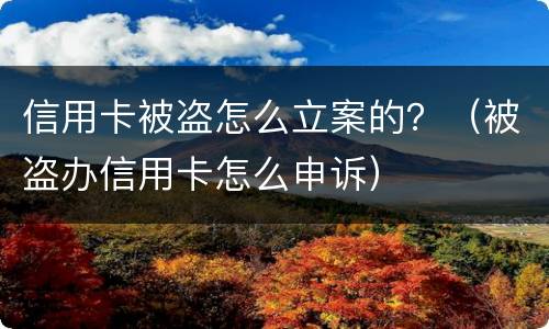 信用卡被盗怎么立案的？（被盗办信用卡怎么申诉）