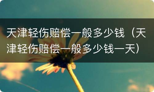 天津轻伤赔偿一般多少钱（天津轻伤赔偿一般多少钱一天）