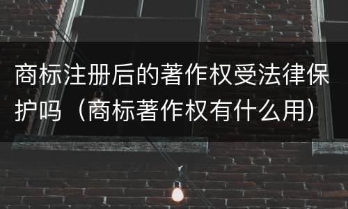 商标注册后的著作权受法律保护吗（商标著作权有什么用）