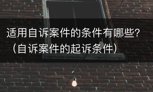 适用自诉案件的条件有哪些？（自诉案件的起诉条件）