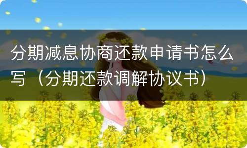 分期减息协商还款申请书怎么写（分期还款调解协议书）