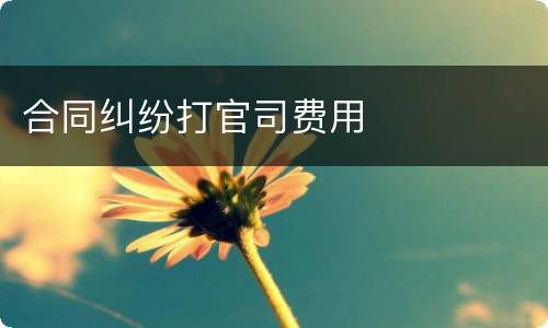 合同纠纷打官司费用
