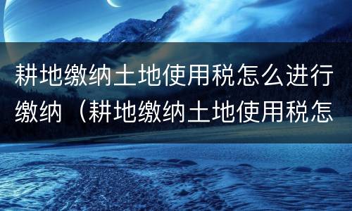 耕地缴纳土地使用税怎么进行缴纳（耕地缴纳土地使用税怎么进行缴纳申报）