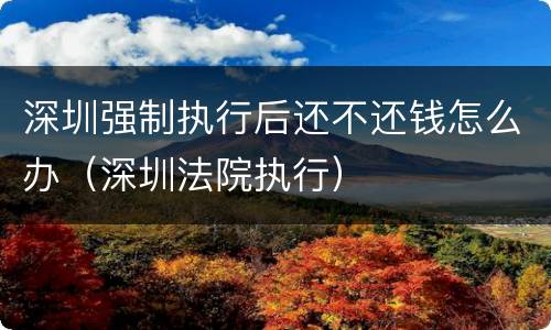 深圳强制执行后还不还钱怎么办（深圳法院执行）