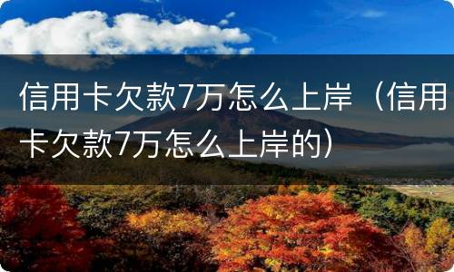 信用卡欠款7万怎么上岸（信用卡欠款7万怎么上岸的）