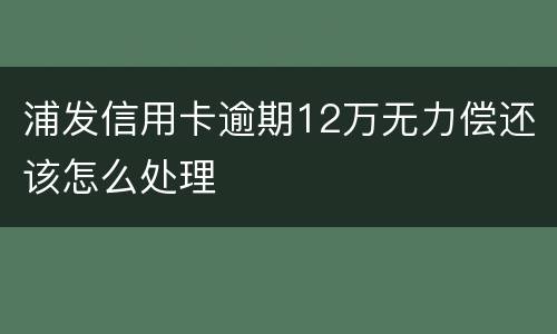 浦发信用卡逾期12万无力偿还该怎么处理