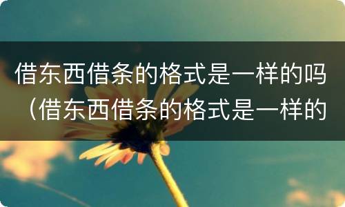 借东西借条的格式是一样的吗（借东西借条的格式是一样的吗图片）