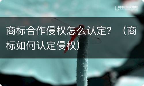 商标合作侵权怎么认定？（商标如何认定侵权）