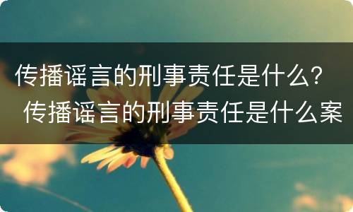 传播谣言的刑事责任是什么？ 传播谣言的刑事责任是什么案件