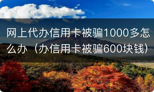 网上代办信用卡被骗1000多怎么办（办信用卡被骗600块钱）