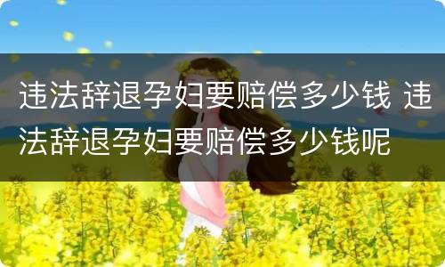 违法辞退孕妇要赔偿多少钱 违法辞退孕妇要赔偿多少钱呢