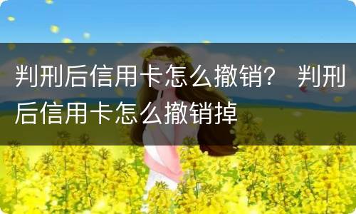 判刑后信用卡怎么撤销？ 判刑后信用卡怎么撤销掉
