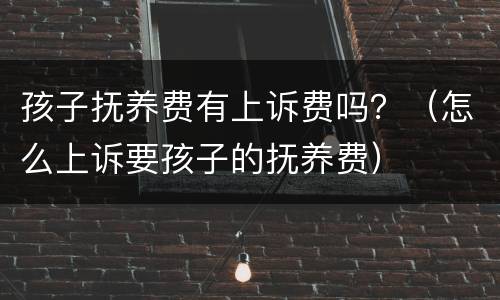 孩子抚养费有上诉费吗？（怎么上诉要孩子的抚养费）
