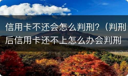信用卡不还会怎么判刑?（判刑后信用卡还不上怎么办会判刑吗）