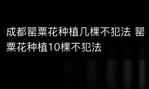成都罂粟花种植几棵不犯法 罂粟花种植10棵不犯法