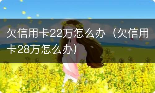 欠信用卡22万怎么办（欠信用卡28万怎么办）