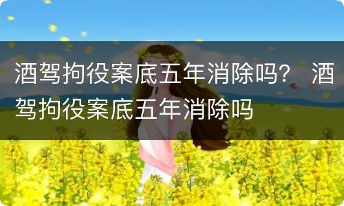 酒驾拘役案底五年消除吗？ 酒驾拘役案底五年消除吗