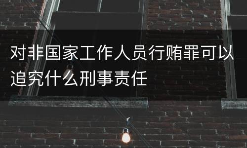 对非国家工作人员行贿罪可以追究什么刑事责任