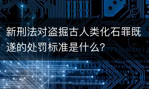 新刑法对盗掘古人类化石罪既遂的处罚标准是什么？