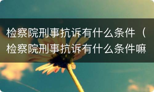 检察院刑事抗诉有什么条件（检察院刑事抗诉有什么条件嘛）