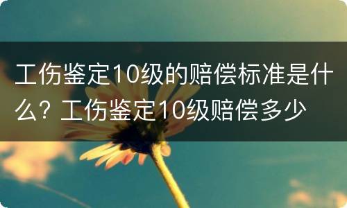 工伤鉴定10级的赔偿标准是什么? 工伤鉴定10级赔偿多少