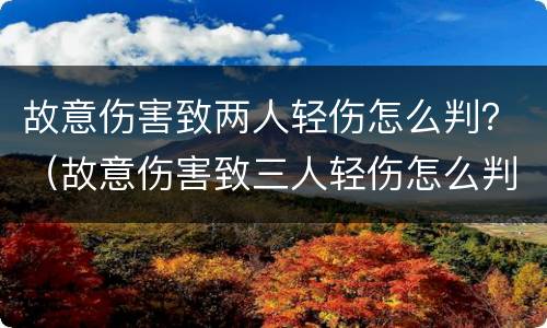 故意伤害致两人轻伤怎么判？（故意伤害致三人轻伤怎么判）