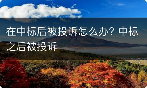 在中标后被投诉怎么办? 中标之后被投诉