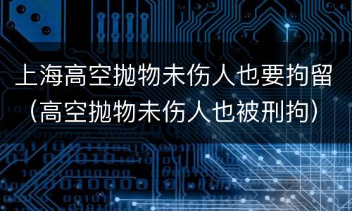 上海高空抛物未伤人也要拘留（高空抛物未伤人也被刑拘）