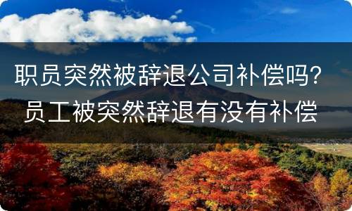 职员突然被辞退公司补偿吗？ 员工被突然辞退有没有补偿