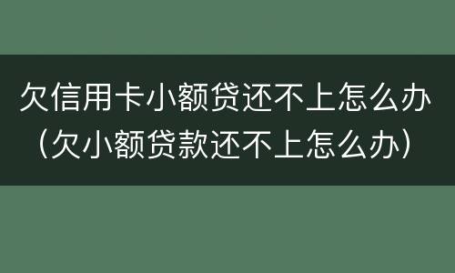 欠信用卡小额贷还不上怎么办（欠小额贷款还不上怎么办）