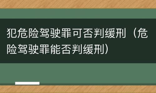 犯危险驾驶罪可否判缓刑（危险驾驶罪能否判缓刑）