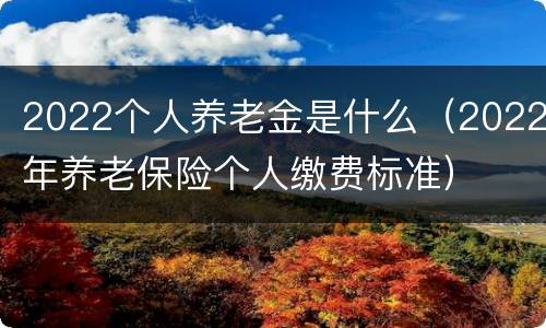 2022个人养老金是什么（2022年养老保险个人缴费标准）