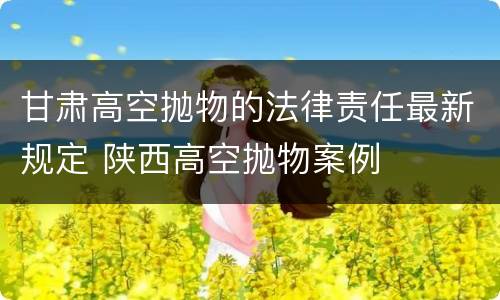 甘肃高空抛物的法律责任最新规定 陕西高空抛物案例