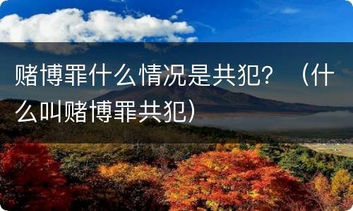 赌博罪什么情况是共犯？（什么叫赌博罪共犯）