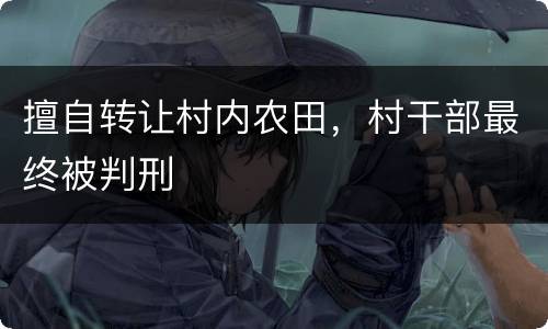 擅自转让村内农田，村干部最终被判刑