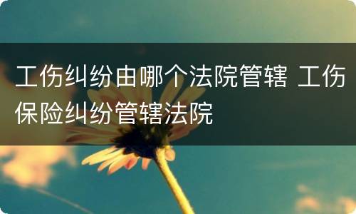 工伤纠纷由哪个法院管辖 工伤保险纠纷管辖法院