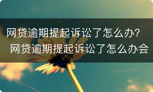 网贷逾期提起诉讼了怎么办？ 网贷逾期提起诉讼了怎么办会影响孩子当兵吗