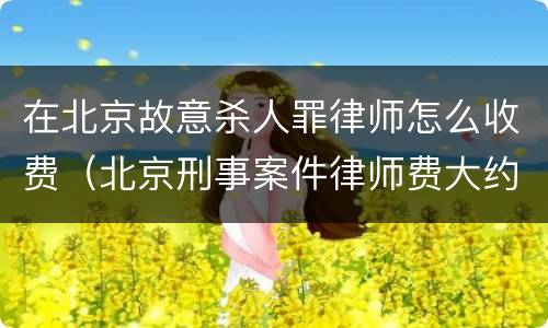 在北京故意杀人罪律师怎么收费（北京刑事案件律师费大约多少）